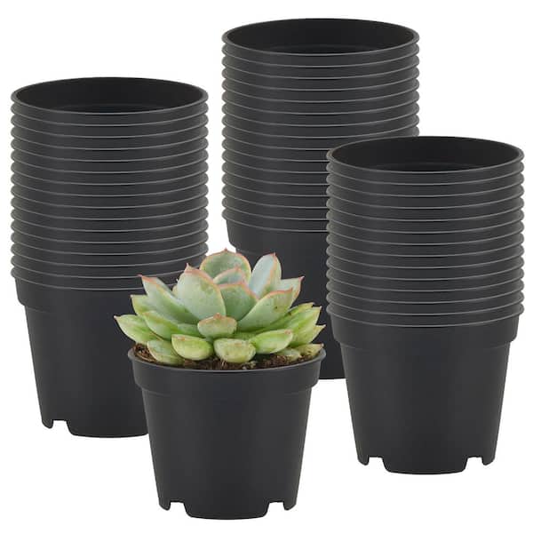 Arcadia Garden Products 2 in. Black Plastic Standard Grow Pot (250