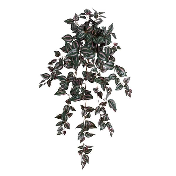 pothos n'joy plant Pothos | Happy Leaf main image 0