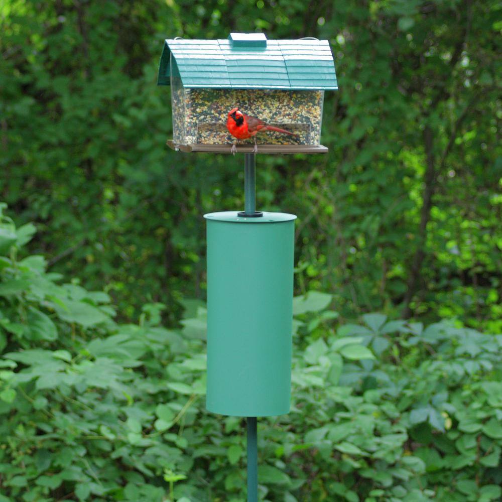 Green Metal Pole Mount Squirrel Baffle Guard