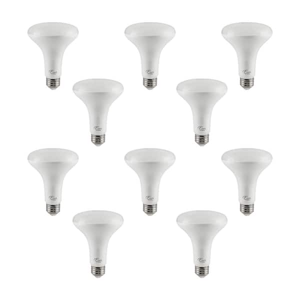 Photo 1 of 65-Watt Equivalent BR30 Energy Star and Dimmable LED Light Bulb in Bright White 4000K (1  -Pack)