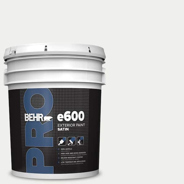5 gal. #57 Frost Satin Enamel Exterior Paint