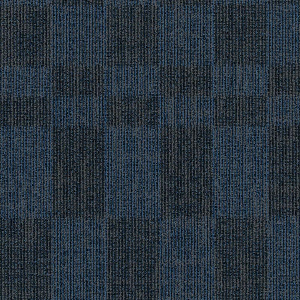 8 in. x 8 in. Loop Carpet Sample - Rustic Wear - Color Blackboard price history on PriceWatchPro