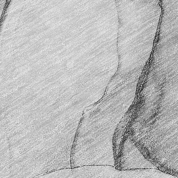 Gray 3 ft. x 5 ft. Abstract Indoor / Outdoor Area Rug