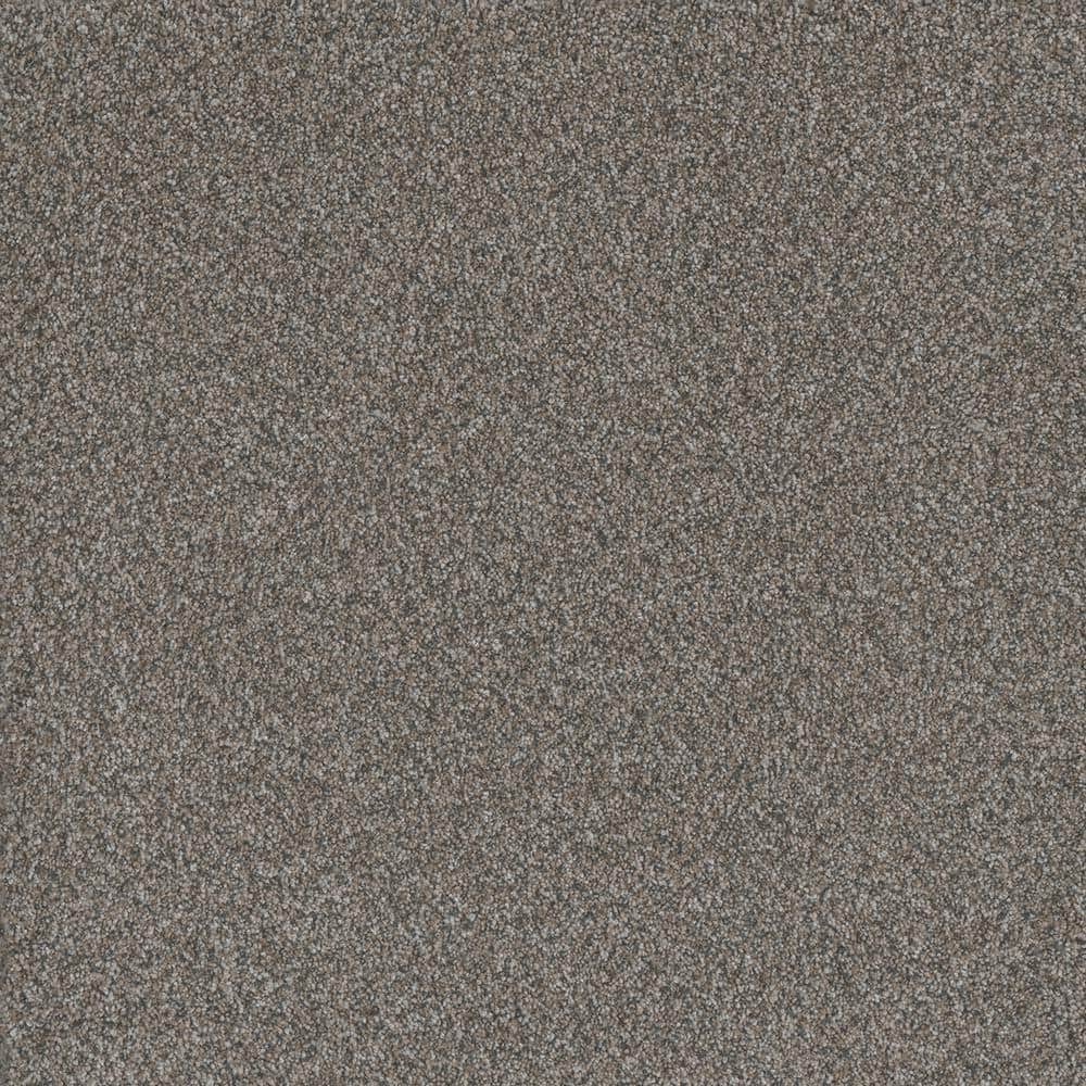 8 in. x 8 in. Texture Carpet Sample - Serene Glory II - Color Peaceful price history on PriceWatchPro
