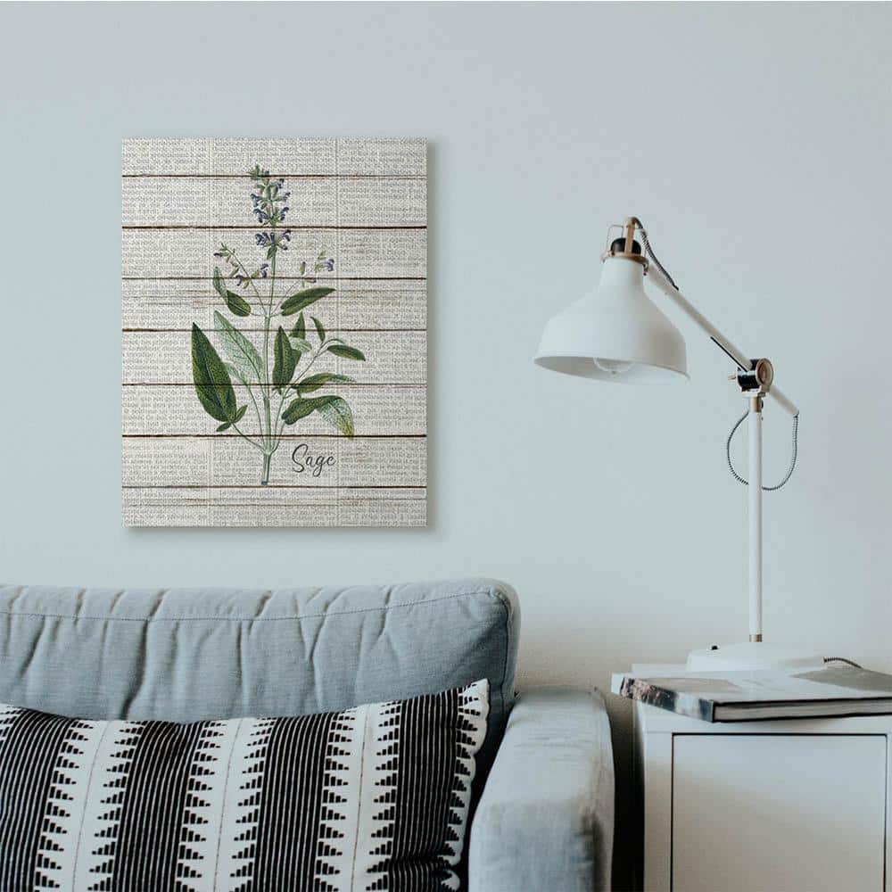 Stupell Industries Sage Vintage Herb Kitchen Dining Room Word Collage Design Canvas Wall Art by Kimberly Allen