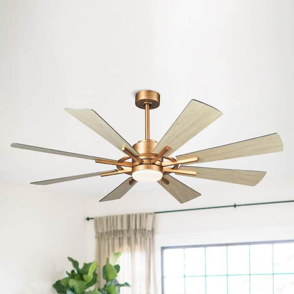 60 in. Windmill 8-Blade Integrated LED Gold Ceiling Fan with Light and Remote Control