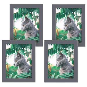 Modern 6 in. x 8 in. Grey Picture Frame (Set of 4)