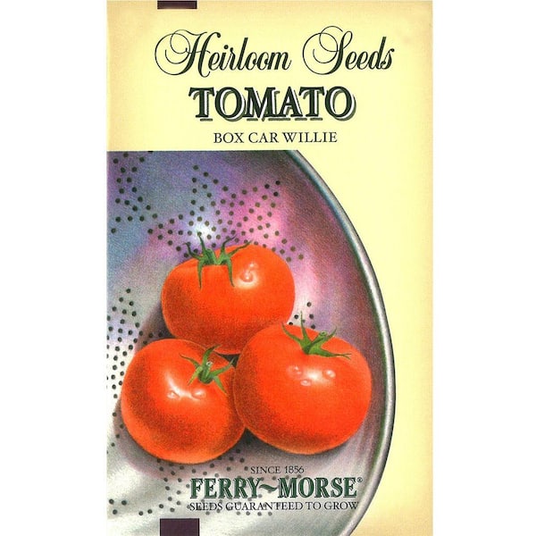 S/H Box Car WillieTomato Seeds 10 Seeds Tasty Heirloom Tomato Comb 