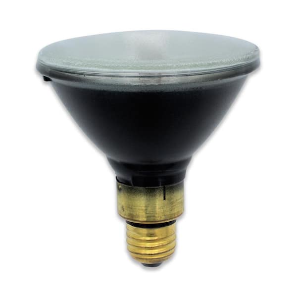 H44GS-100SP : 100W PAR38 : Mercury Vapor Black Light Bulb : Osram Sylvania