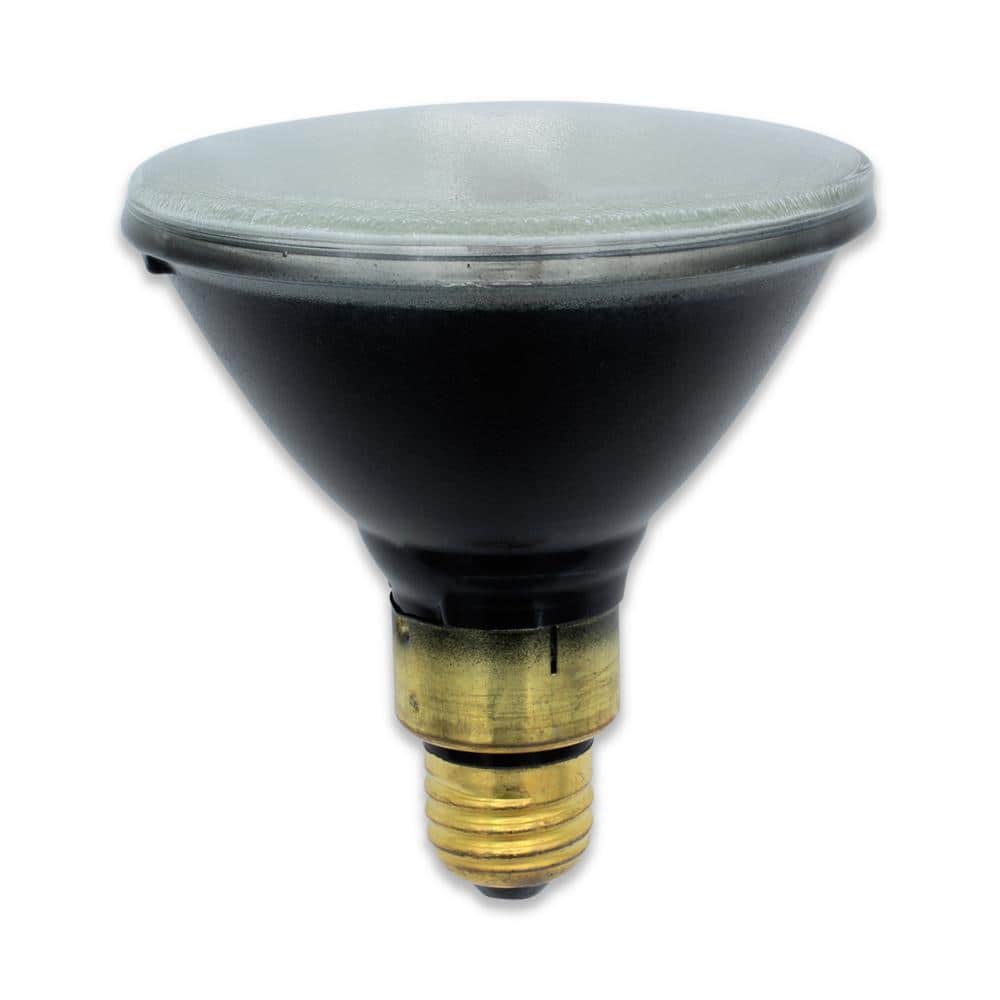 100-Watt PAR38 E26 UVP B-100AP : 100W PAR38 : UV Lamp Xenon Light Bulb 1-Pack price history on PriceWatchPro