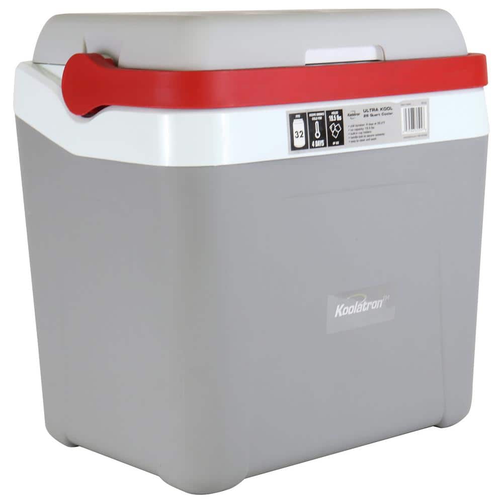 Gray Electric Insulated Portable Cooler Bag with Locking Handle
