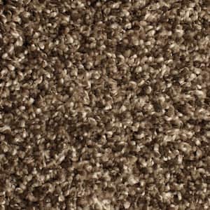 Pioneer - Stampede - Brown 73.5 oz. SD Polyester Texture Installed Carpet