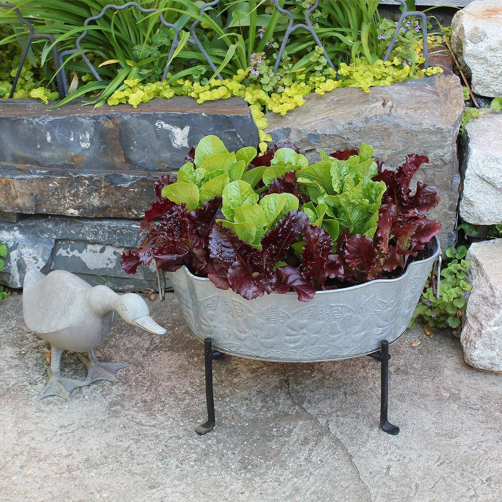 Black Wrought Iron Folding Tabletop Stand