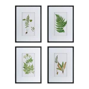 Set of 4 Plastic Framed Home Botanical Fern Wall Art Prints, Home Decor Art for Living Room Entryway 20 in. x 28 in .