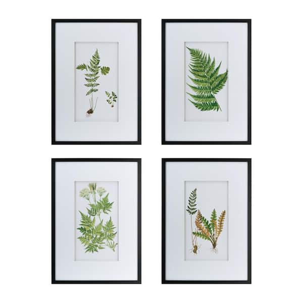 Unbranded Set of 4 Plastic Framed Home Botanical Fern Wall Art Prints, Home Decor Art for Living Room Entryway 20 in. x 28 in .