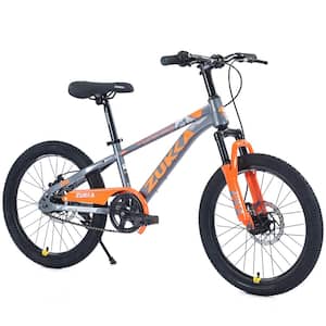 20 in. Wheels Mountain Bike Carbon steel Frame Disc Brakes Thumb Shifter Front fork Bicycles, Orange