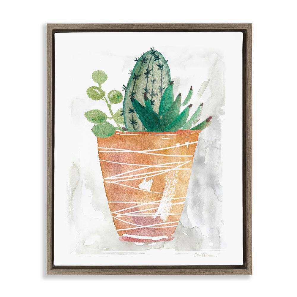 Cactus and Succulent Vase by Carol Robinson Brown Floater Frame Nature Graphic Art Print 31 in. x 25 in. price history on PriceWatchPro