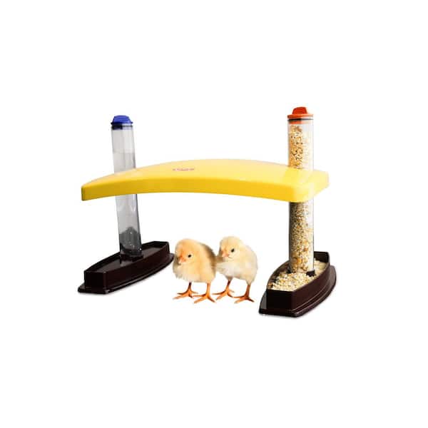 Cozy Chickens Brooder Habitat Safe Chick Brooder 100-Watts Accommodates 14-Newborn Chicks Safer Than Brooder Lamps