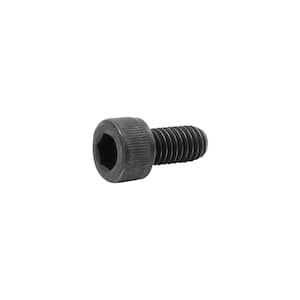6 mm x 12 mm Alloy Socket Cap Screw (2-Pack)
