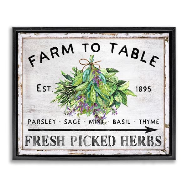 Stupell Industries Vintage Farm Herbs by Creatif Belle Black Floater Frame Food Graphic Art Print 25 in. x 31 in.