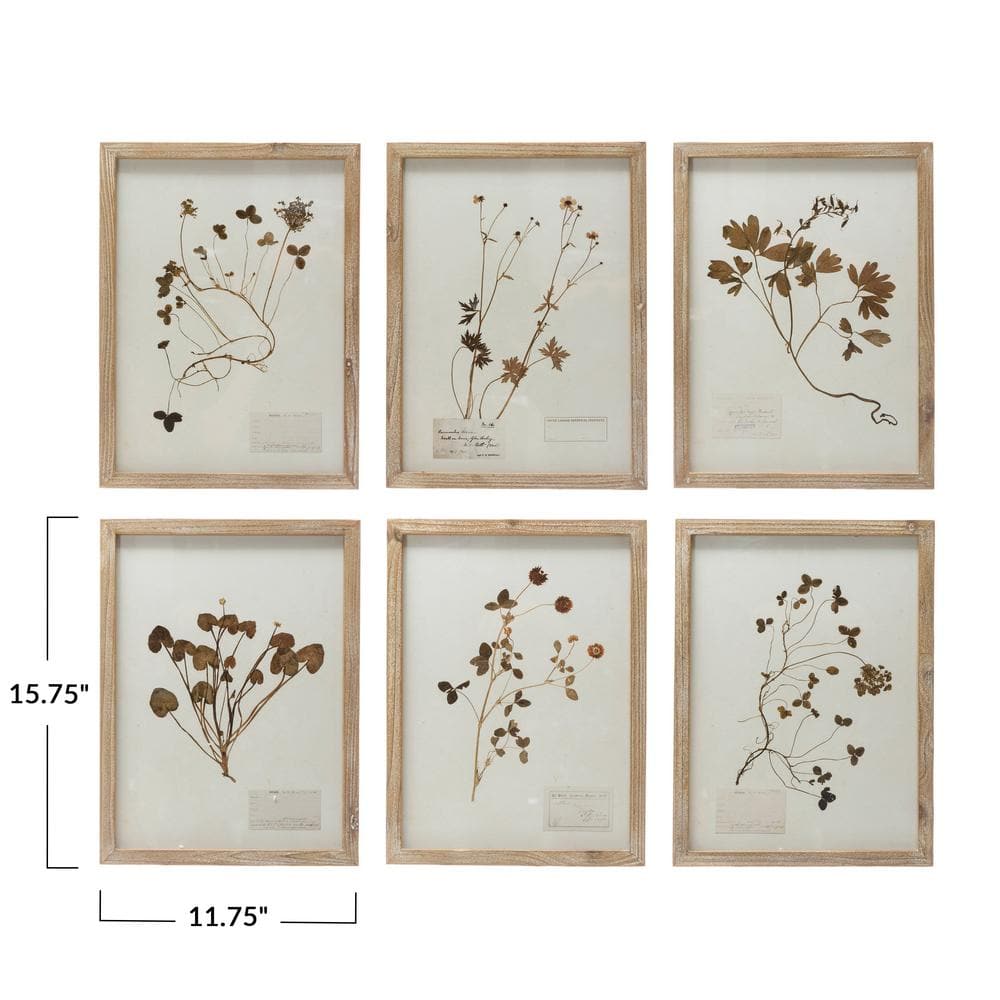 Set of 6 Botanical Prints in Light Brown Wood Frames