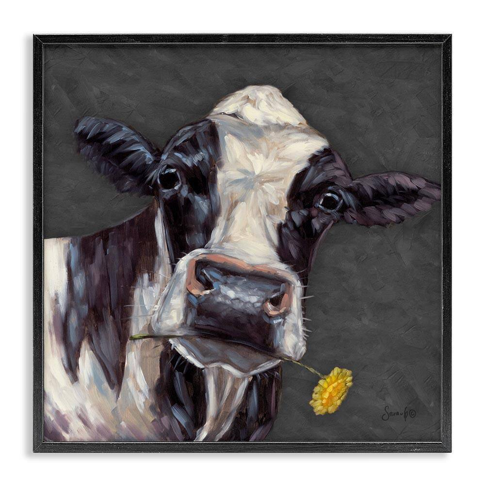 Cow with Yellow Daisy by Sara G. Designs Black Framed Animal Giclee Art Print 24 in. x 24 in. price history on PriceWatchPro