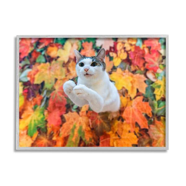 Stupell Industries Cat in Autumn Leaf Pile by Kazutoshi Ono 1-Piece Framed Graphic Print Animal Poster Art Print 20 in. x 16 in.