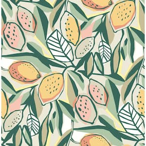 Orange Meyer Peach Citrus Fabric Non-Pasted Matte Wallpaper