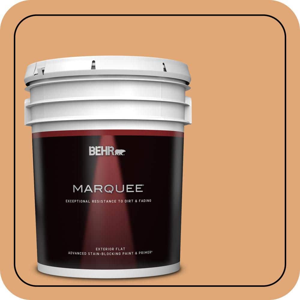 5 gal. #280D-4 Caramel Sundae Flat Exterior Paint & Primer price history on PriceWatchPro