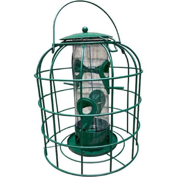 8 in Squirrel Proof Outdoor Caged Tube Hanging Bird Feeder