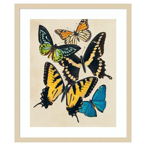 Amanti Art Collaged Butterflies II by Victoria Barnes 1 Piece Framed Giclee Animal Art Print 25 in. x 21 in.