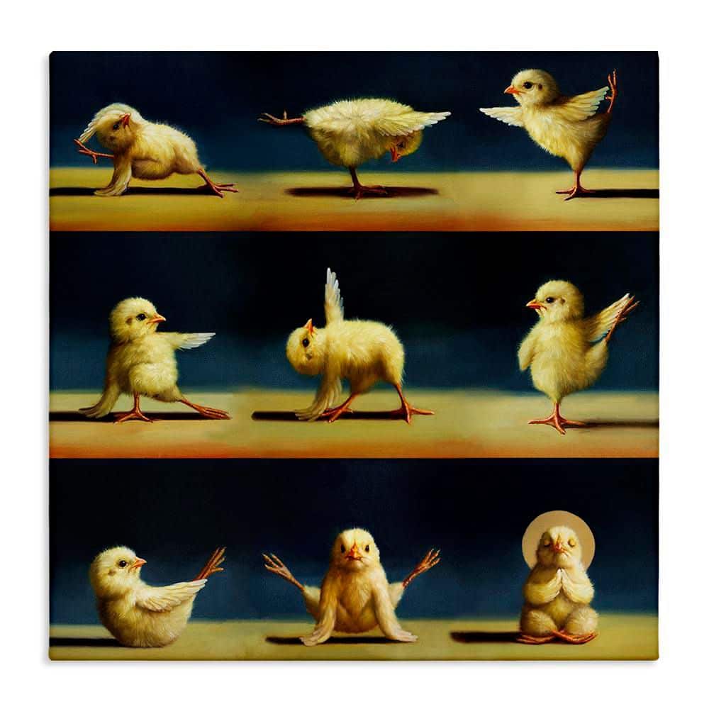 Yoga Chicks Stretching Meditation by Lucia Heffernan Unframed Graphic Art Print Animal 36 in. x 36 in. price history on PriceWatchPro