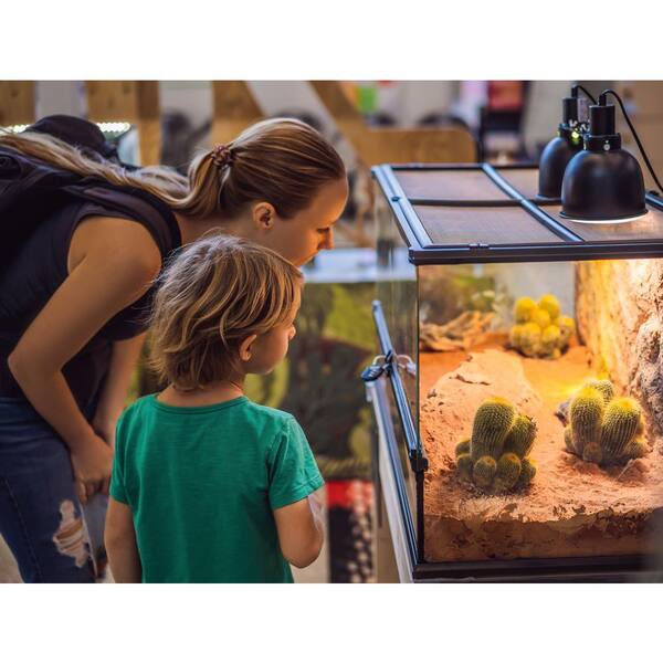 AquaOne Aquariumstenen, drakensteen, natuurstenen, 1 stuk, 1-3 kg per