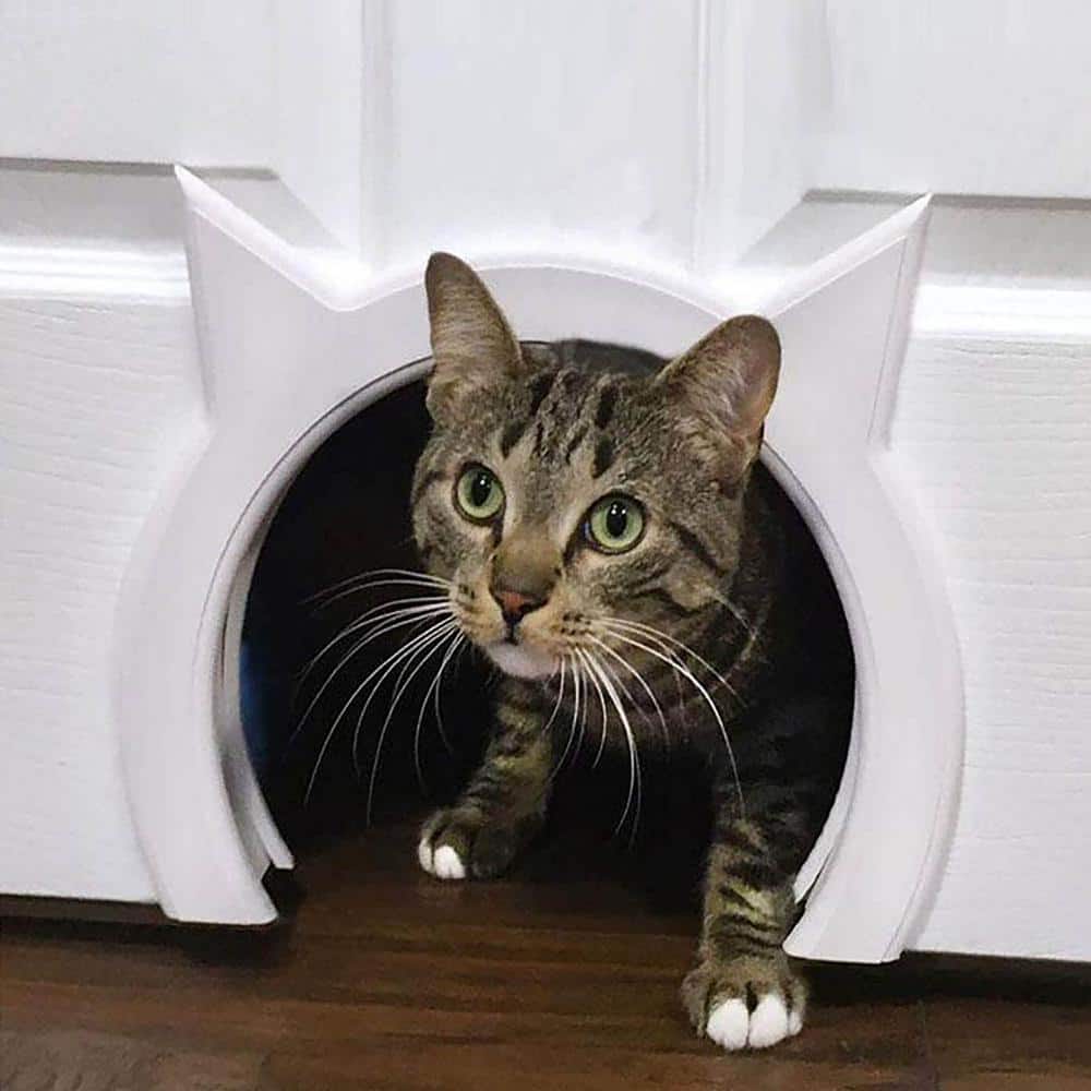 FAWEY TRED INC 10 in. x 12 in. XL Interior Cat Door and Pet Door