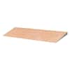 Schluter Kerdi-Shower-R 48 in. x 12 in. Shower Ramp KSR305/1220 - The ...