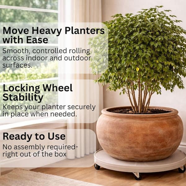 Devault Enterprises 12 in. Plant Dolly/Caddy Black DEV3012B - The