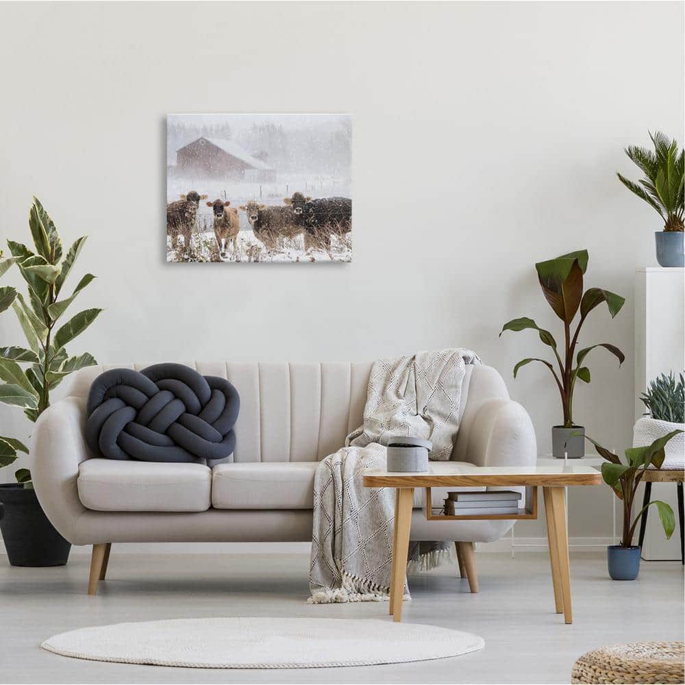 Winter Farm Scene with Cows Canvas Print, 24 x 30