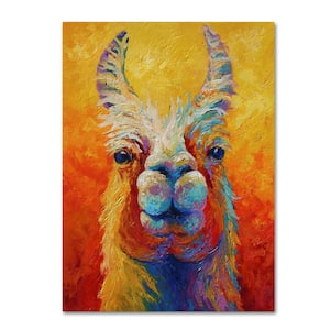 47 in. x 35 in. "Lookin At Me" by Marion Rose Printed Canvas Wall Art