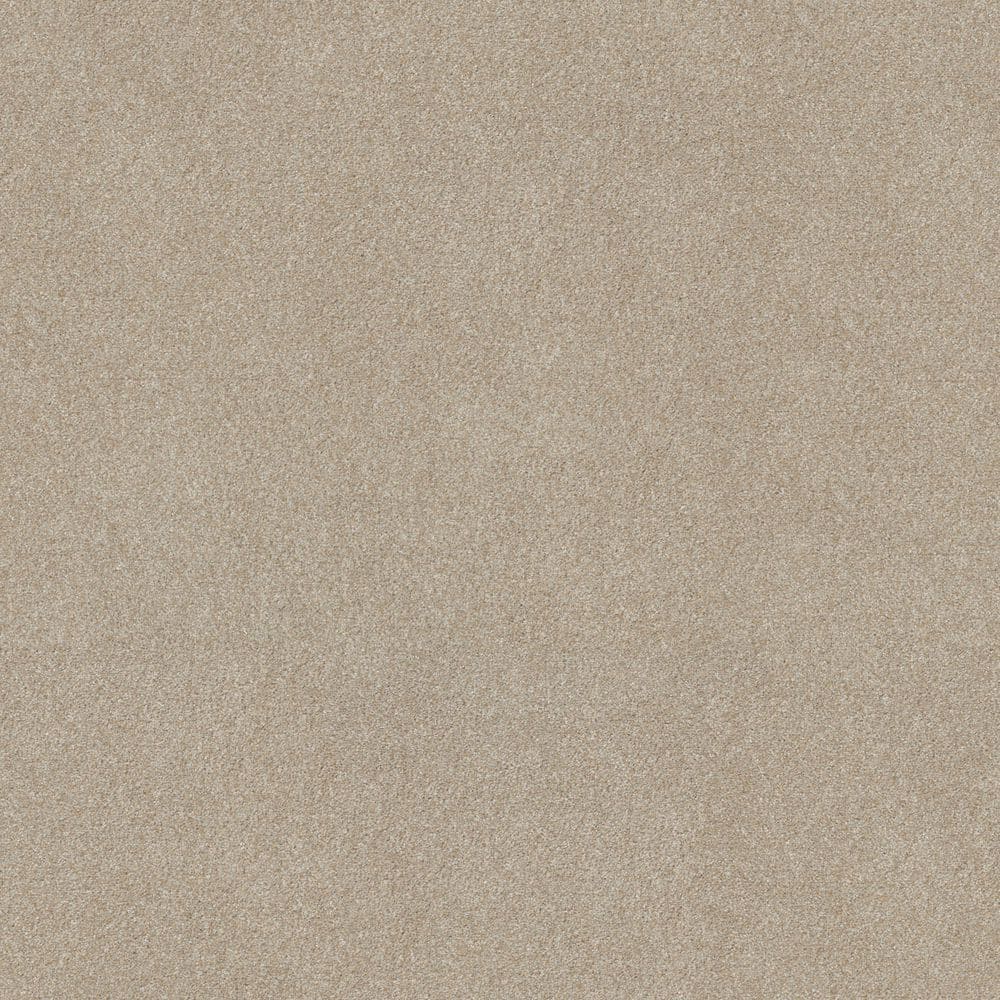 8 in. x 8 in. Texture Carpet Sample - Gifted Moments II - Color Brushed Suede price history on PriceWatchPro