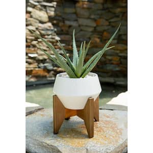 20 in. Artificial Aloe in 8.5 in. GEO Ceramic Pot on Wood Stand