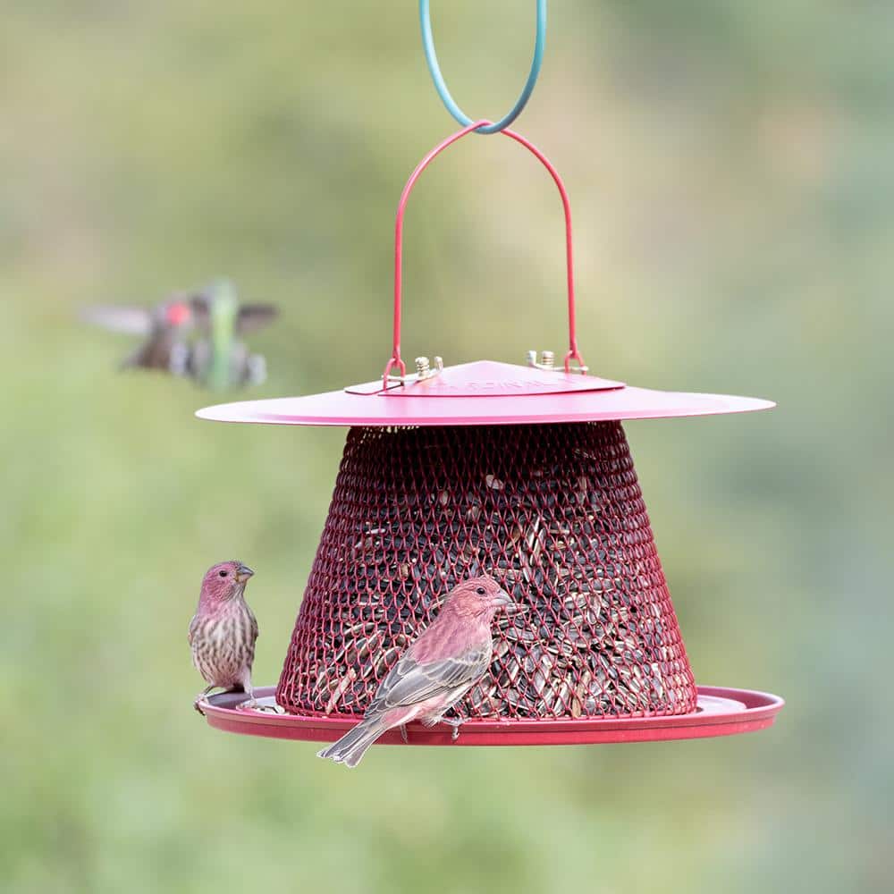 Red Metal Hanging Bird Feeder with Mesh Design