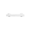 Forge 3 in. (76 mm) Chrome Cabinet Pull (10-Pack)