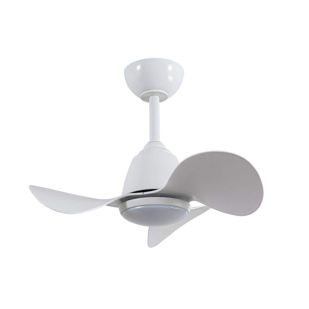 Warehouse of Tiffany Cian 24 in. 1-Light Indoor White Finish Ceiling Fan with Light Kit