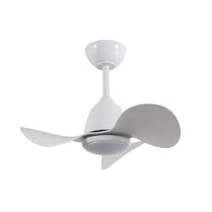 Cian 24 in. 1-Light Indoor White Finish Ceiling Fan with Light Kit