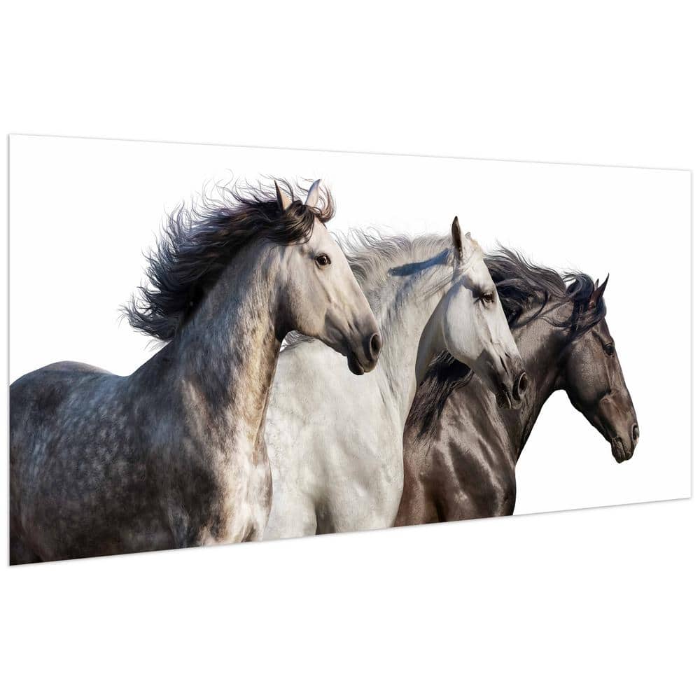 Trilogy 1 Frameless Free Floating Tempered Glass Horse Wall Art