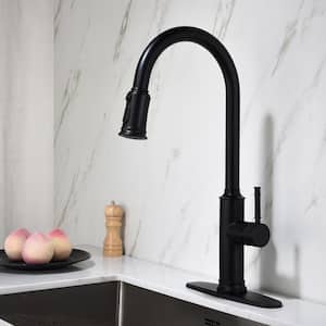 Single Handle Single Hole Kitchen Faucet with Pull Out Sprayer in Matte Black