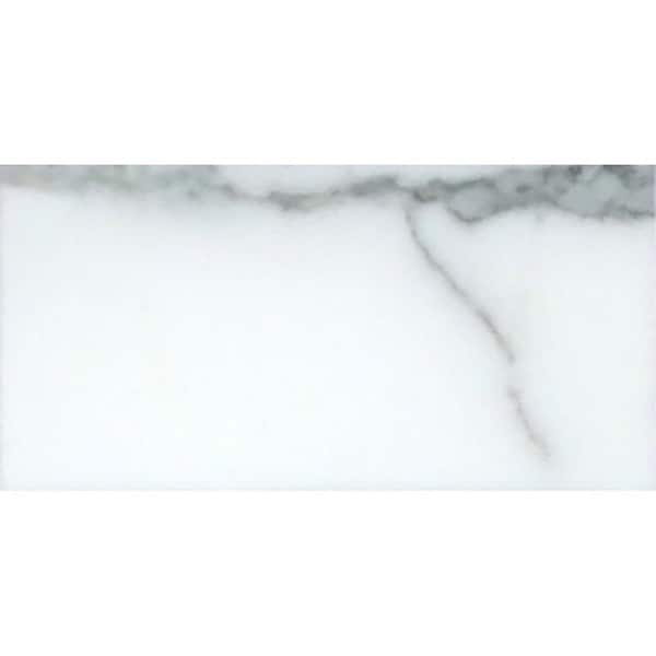 Apollo Tile White 3 in. x 6 in. Honed Marble Subway Tile Sample (0.12 sq. ft./Piece)