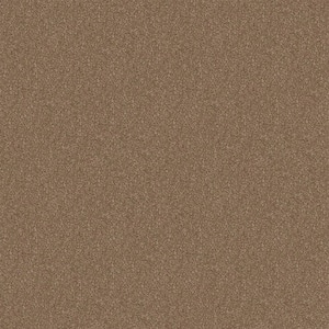 Alpine - Insight - Brown 17.3 oz. Polyester Texture Installed Carpet