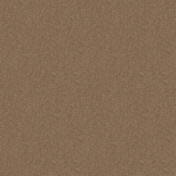 TrafficMaster Alpine - Insight - Brown 17.3 oz. Polyester Texture Installed Carpet