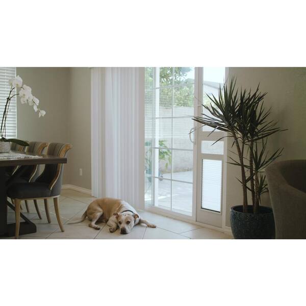 Extra tall sliding outlet glass dog door